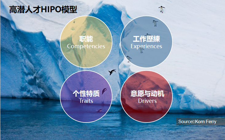 高潜人才HIPO模型