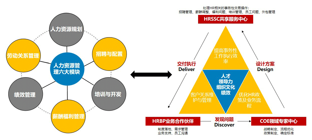 v2-626075a76b4ac1f5bde853fed53d6220_r.png